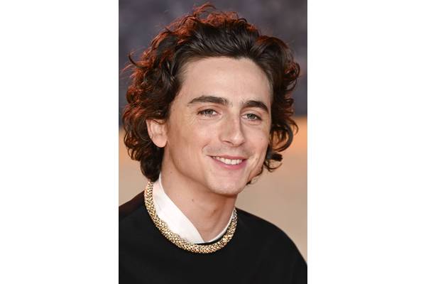 Has Timothée Chalamet Won An Oscar?