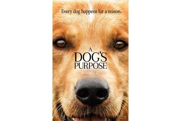 The 25 Saddest Dog Movies Of All Time (For When You Need A Good Cry)