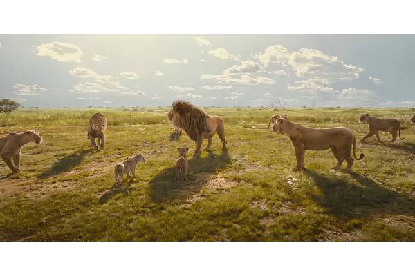Disney’s Follow-Up Movie To The Lion King’s 2019 Live-Action Remake Is Now Streaming, 3 Months After Making $719 Million In Theaters