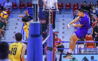 Sealions conquer Spin Doctors in Spikers Turf Invitational