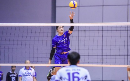 Sealions beat Titans in Spikers Turf