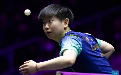 Chinese paddlers sweep titles at WTT Champions Incheon