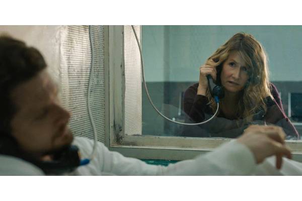 Laura Dern's $148,504 True Story Movie Lands On Netflix's Global Charts 7 Years Later