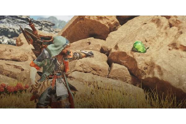 10 Essential Beginner Tips If Monster Hunter Wilds Is Your First MH Game