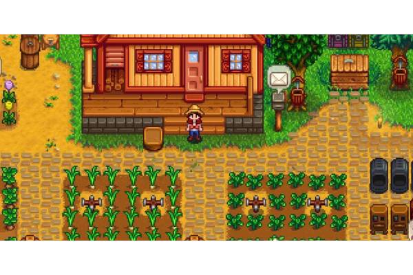 Even after 1.6, Stardew Valley is missing a tiny