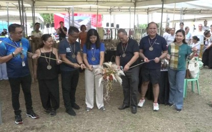 Festival to promote Antique as a dive destination