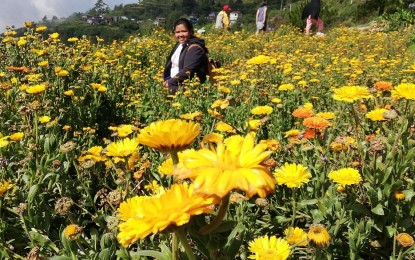 Benguet flower town continues to increase tourism revenues
