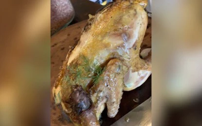 DOT W. Visayas food expo to showcase Antique’s local cuisines