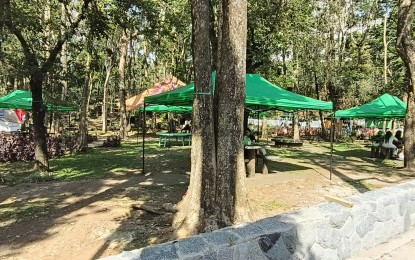 7 first-time visitors to get free stay in Baguio annual search 