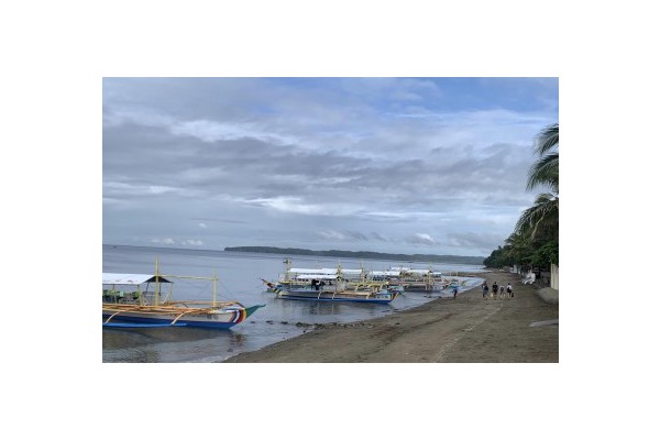 P6-M boat enhancement project boosts 'butanding' tourism in Sorsogon