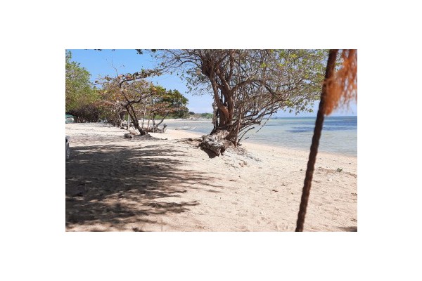Long weekend ahead: Leisure trips to consider just outside NCR