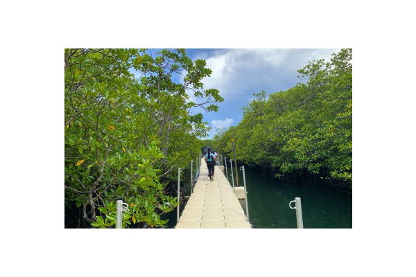 Exploring the ecological gem of Surigao: Day-asan Mangrove Forest