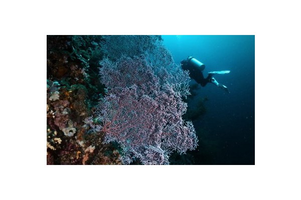 ‘One Visayas’ tour seen to advance E. Visayas tourism