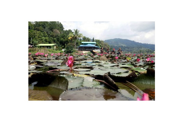 PH tourism revenue hits P282-B; up 32.8% in H1 of 2024