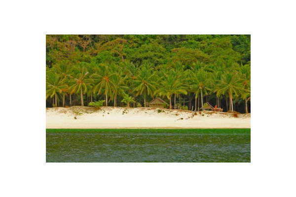 Palawan posts almost 90% rise in tourist arrivals in 2023