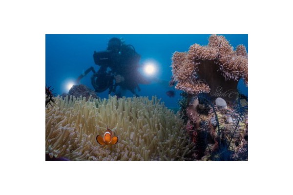 PH wins best diving destination title at Beijing expo