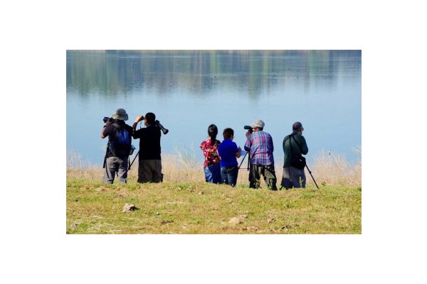 DOT eyes Taiwan model for Ilocos birdwatching tourism