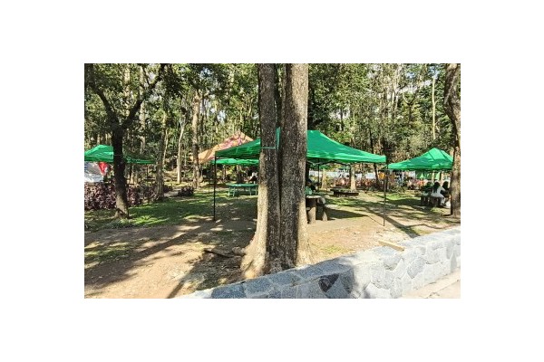7 first-time visitors to get free stay in Baguio annual search