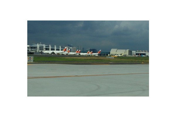 PAL lands 2nd most preferred airline in SEA -- survey
