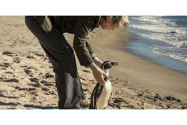 The Penguin Lessons Review: I Was Charmed By Steve Coogan's Weird & Wonderful Dramedy That Sees A Man's Worldview Changed By A Penguin