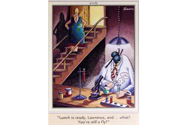 10 Wild Far Side Science Experiments You Won't Soon Forget