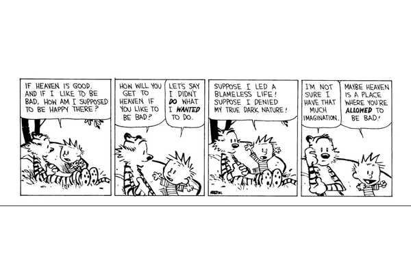 Calvin and Hobbes: 10 Times Hobbes Was Too Reasonable To Be Made Up By Calvin
