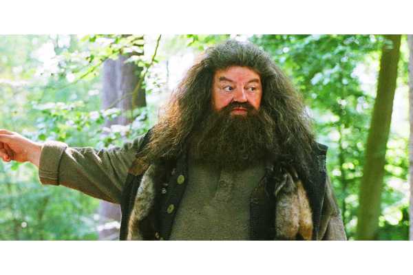 The Harry Potter Remake's Hagrid Casting Plan Gives Me Faith It Will Nail One Crucial Character Detail