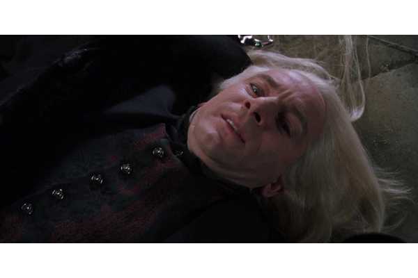 "I Did It With Incredible Violence": Lucius Malfoy Star Recalls How One Harry Potter Stunt Knocked Him Out