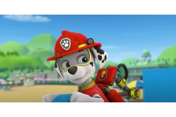 Every PAW Patrol Character & Their Dog Breed, Explained