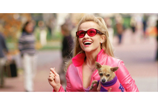 Legally Blonde Prequel Show Reveals First Look At The New Elle Woods