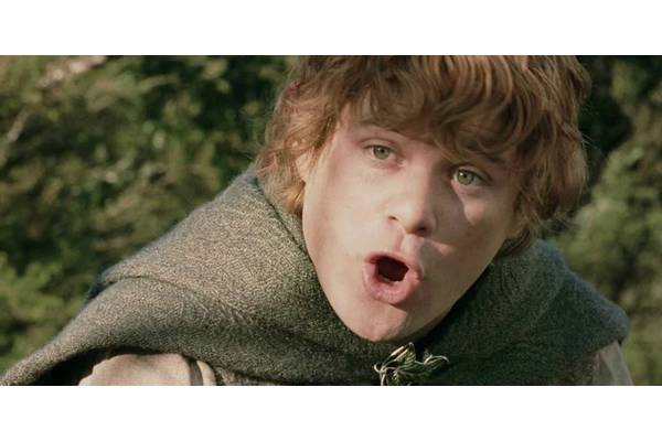 The Lord Of The Rings: What Sam Saw In The Mirror Of Galadriel & What It Meant