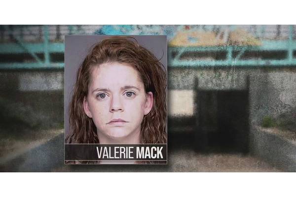 5 Biggest Details Netflix's Gone Girls Documentary Leaves Out About The True Long Island Serial Killer Case