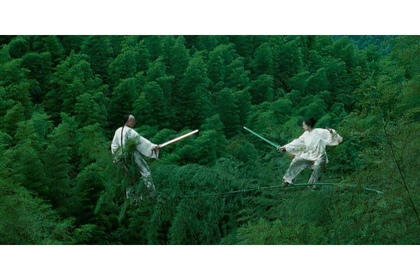 Crouching Tiger, Hidden Dragon Series In The Works 25 Years After Feature Film