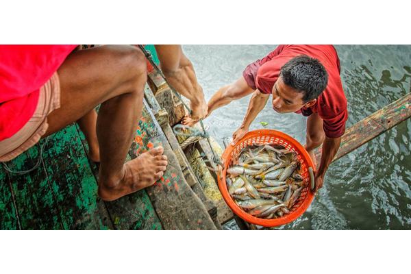 World News in Brief: Ukraine rescue efforts, Libyan activist abducted, climate impacts on fish stocks, SDG ‘wake