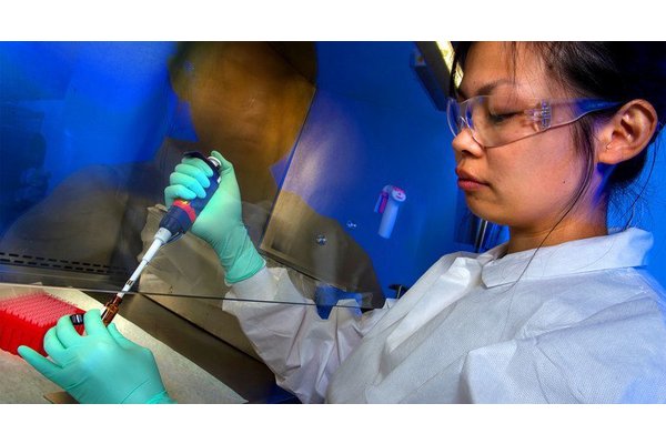 Antimicrobial effectiveness leaning towards ‘tipping point’ resistance – FAO  | UN News
