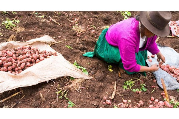US contributes $10 million to support UN food agency efforts on COVID