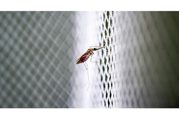 UN health agency launches bid to stop a new global pandemic | UN News