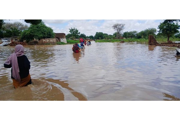 Sexual violence and famine stalk Sudan’s displaced | UN News