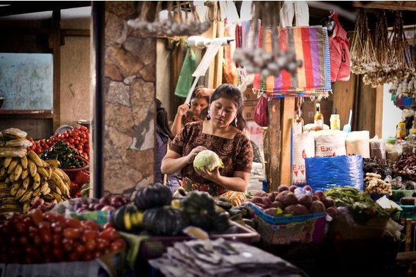 Home | World Food Day | Food and Agriculture Organization of the United Nations