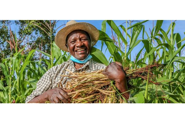 Seeds of change in Kenya as farmers lead way on tobacco