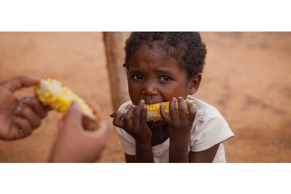 Better prevention and targeting of root causes needed to combat food crises | UN News