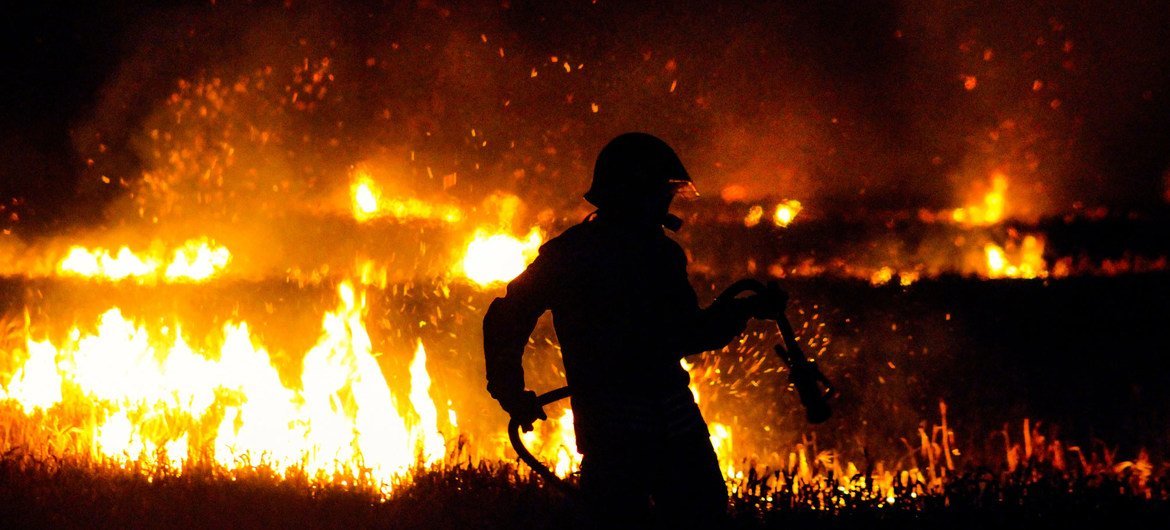 A firefighter battles a forest wildfire. (file) A firefighter battles a forest wildfire. (file)