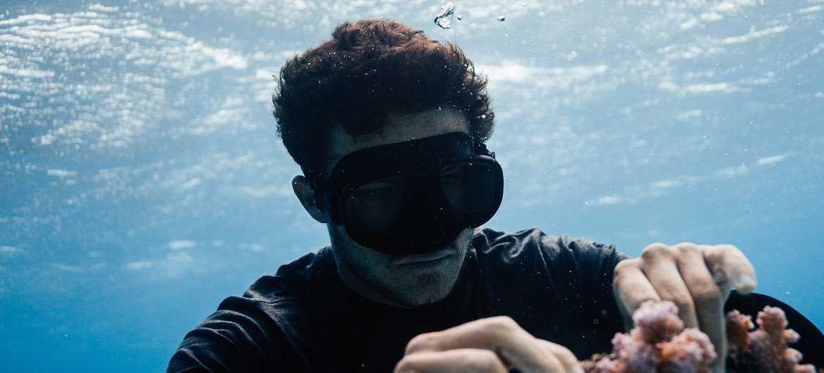 Titouan Bernicot, founder of founder of "Coral Gardeners" and winner of #YAS21 Titouan Bernicot, founder of founder of "Coral Gardeners" and winner of #YAS21