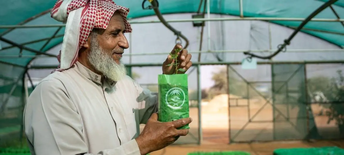 Thadiq National Park manager Abdullah Ibrahim Alissa surveys saplings at a tree nursery in a desert area of central Saudi Arabia. Thadiq National Park manager Abdullah Ibrahim Alissa surveys saplings at a tree nursery in a desert area of central Saudi Arabia.