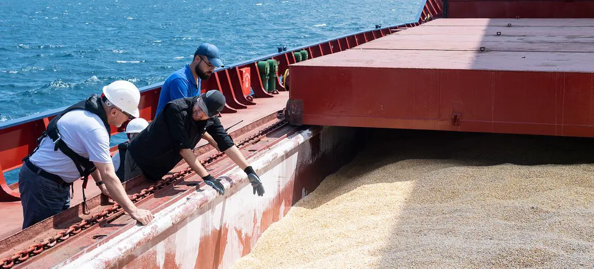 In 2022 in the early months of the Ukraine war, shipping was disrupted, causing a huge spike in grain and other commodity prices. (file)