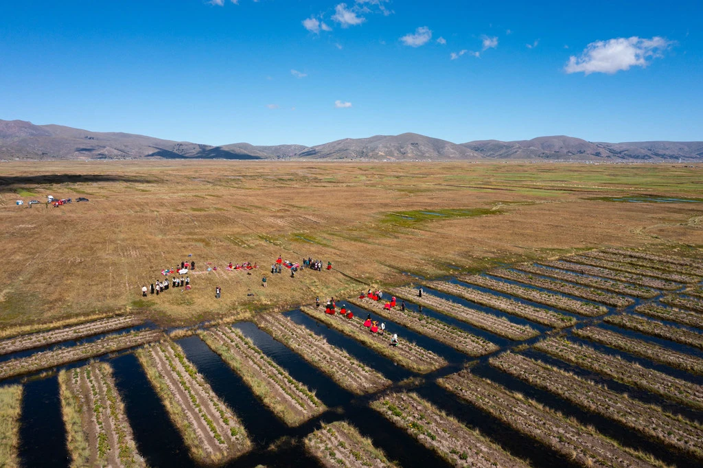 Another method implemented is the rehabiWaru warus in Thunco: an ancient farming technique with canals and raised beds to manage droughts and floods.