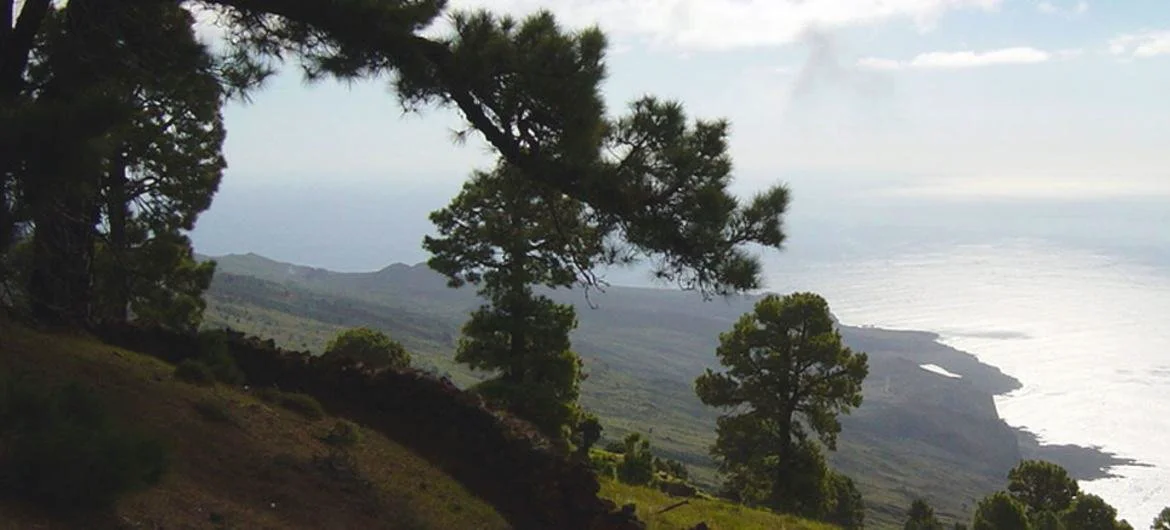 El Hierro, a volcanic island in Spain, has an incredibly diverse landscape and a great variety of plant and animal life.