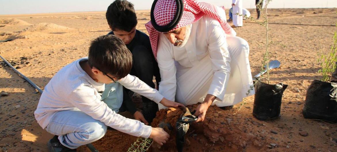 Saplings are planted Al Adhraa national park in Saudi Arabia as part of efforts to protect the land from degradation. Saplings are planted Al Adhraa national park in Saudi Arabia as part of efforts to protect the land from degradation.