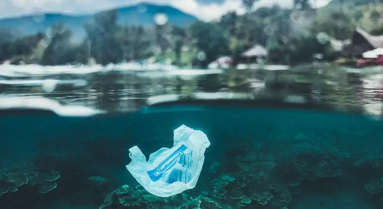 Single-use plastic bag floating by a coral reef, Bali.