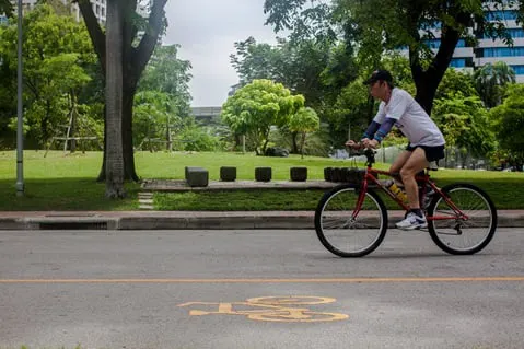 School children crossing a road